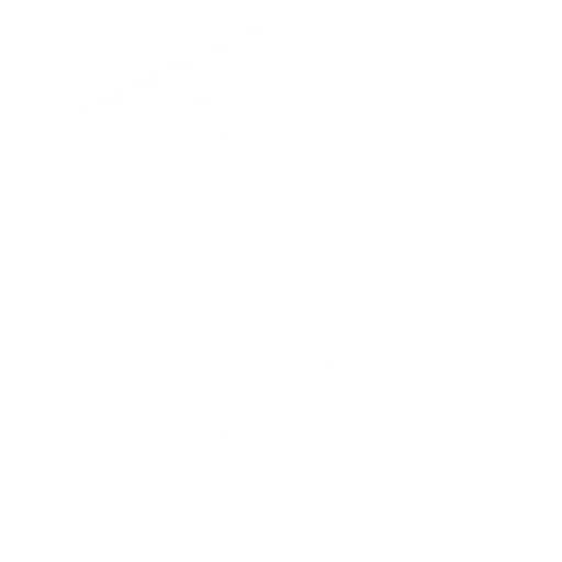 Emergency Garage Door Icon
